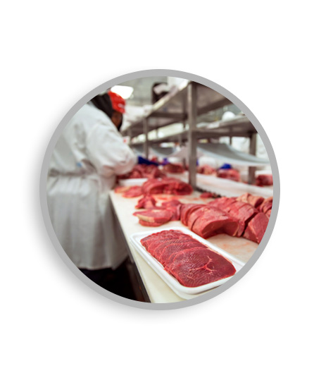sanificazione industria alimentare