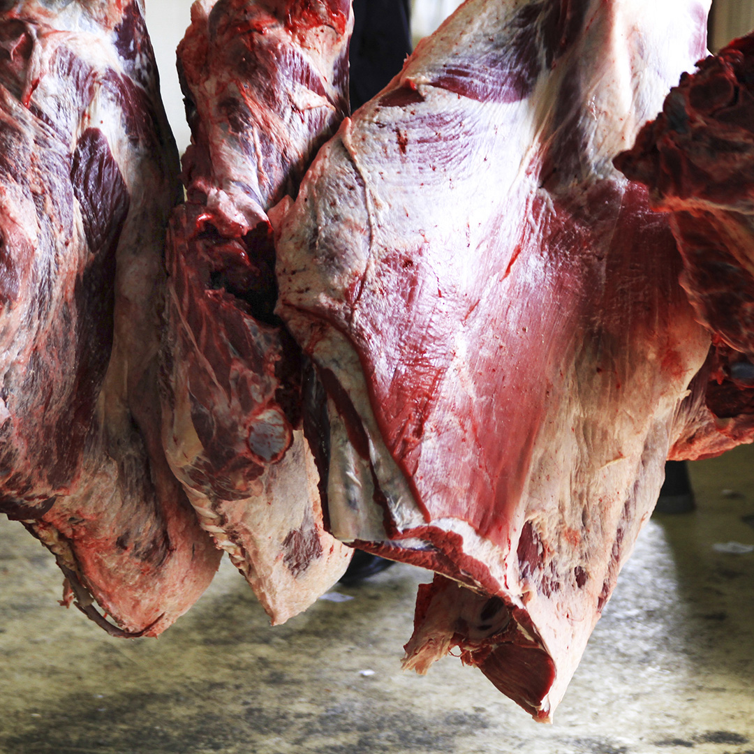 AIRsteril - come umentare i tempi di frollatura della carne fino a 56 giorni